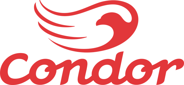 PINCEIS CONDOR
