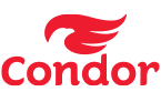 PINCEIS CONDOR